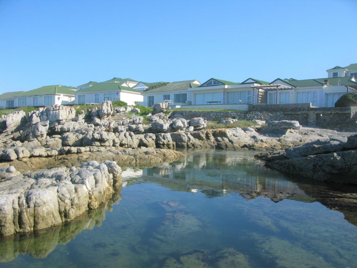 Beachfront House - Hermanus Whale View Vila Exterior foto