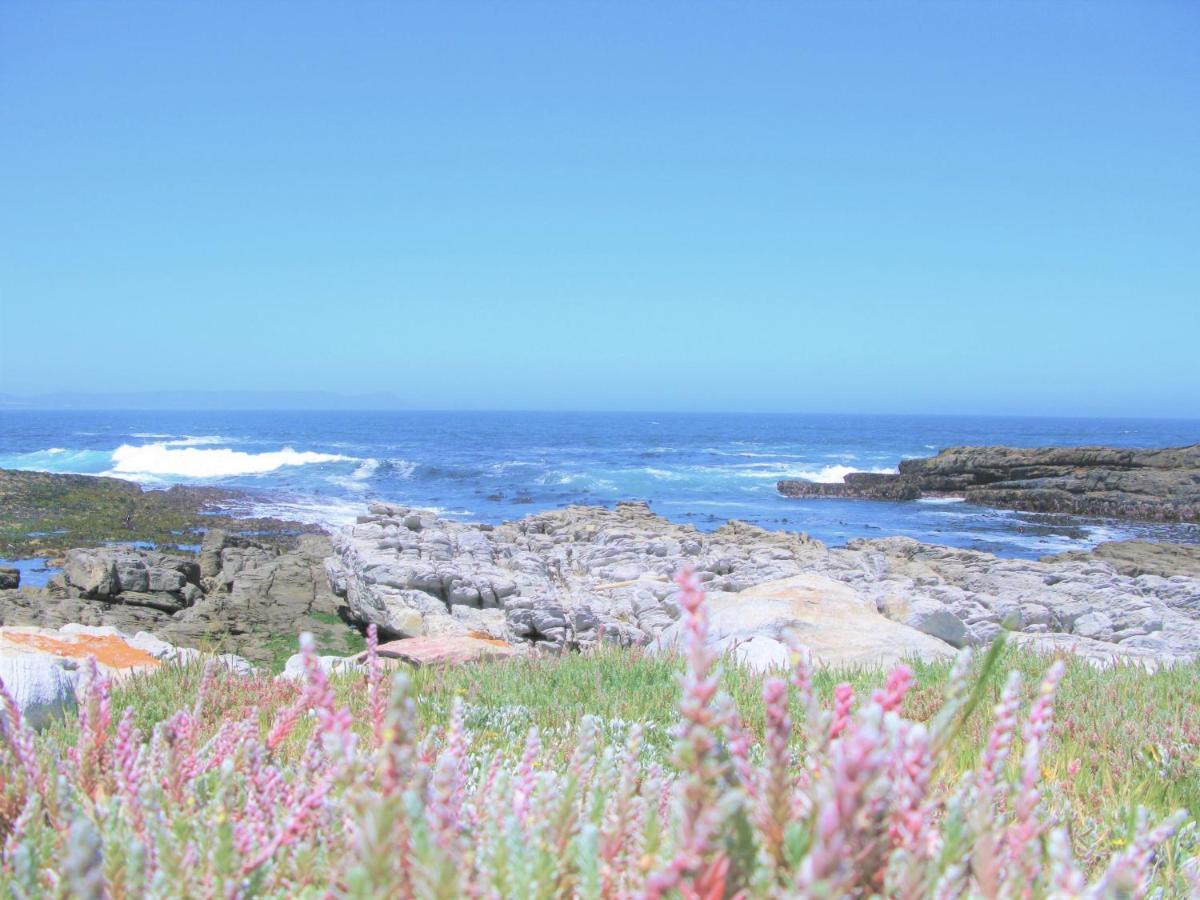 Beachfront House - Hermanus Whale View Vila Exterior foto