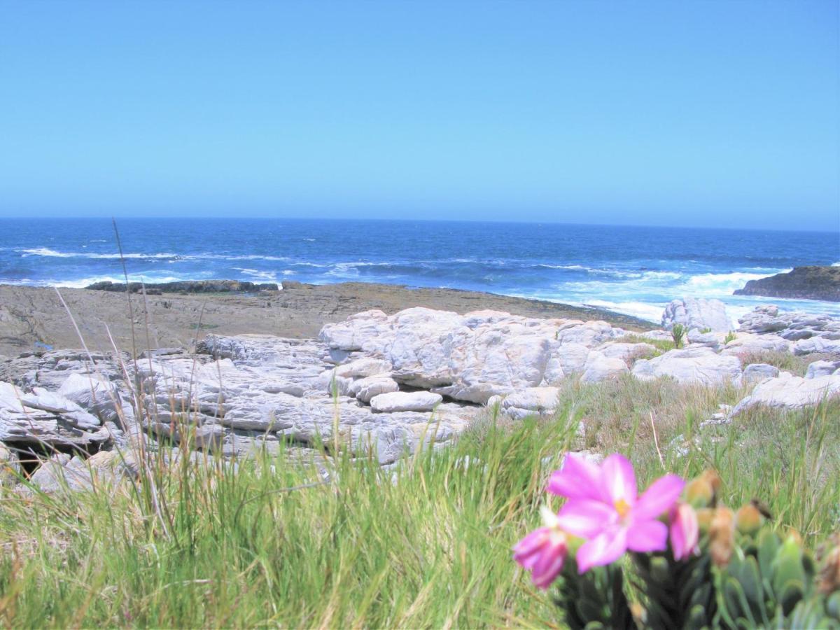 Beachfront House - Hermanus Whale View Vila Exterior foto