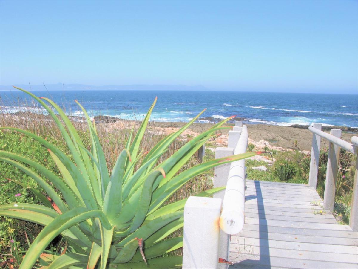 Beachfront House - Hermanus Whale View Vila Exterior foto