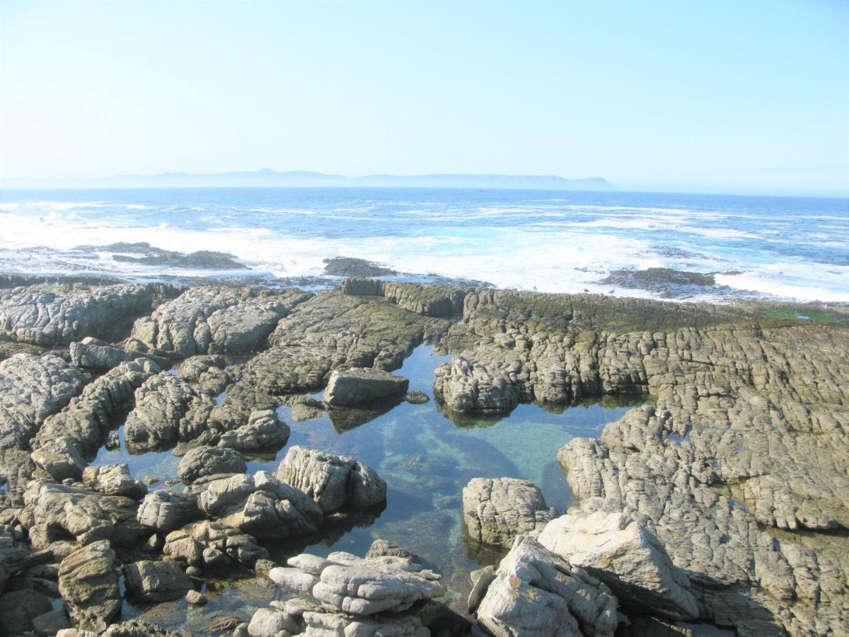 Beachfront House - Hermanus Whale View Vila Exterior foto