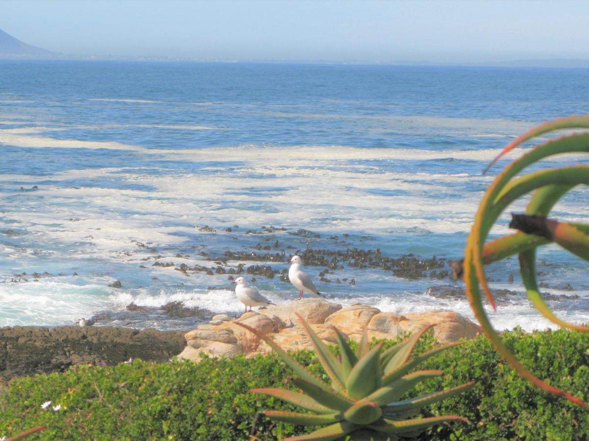 Beachfront House - Hermanus Whale View Vila Exterior foto