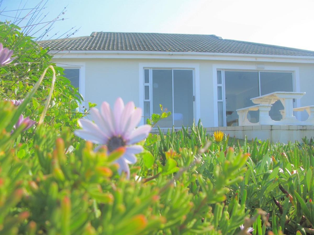 Beachfront House - Hermanus Whale View Vila Exterior foto